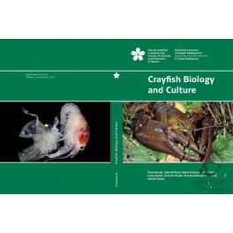 craycz